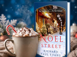 Book cover of Noel Street representing inspirational fiction and healing literature.